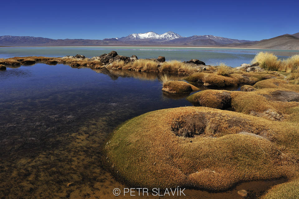 Laguna Santa Rosa, Nevado Tres Cruces, Atacama, Chile