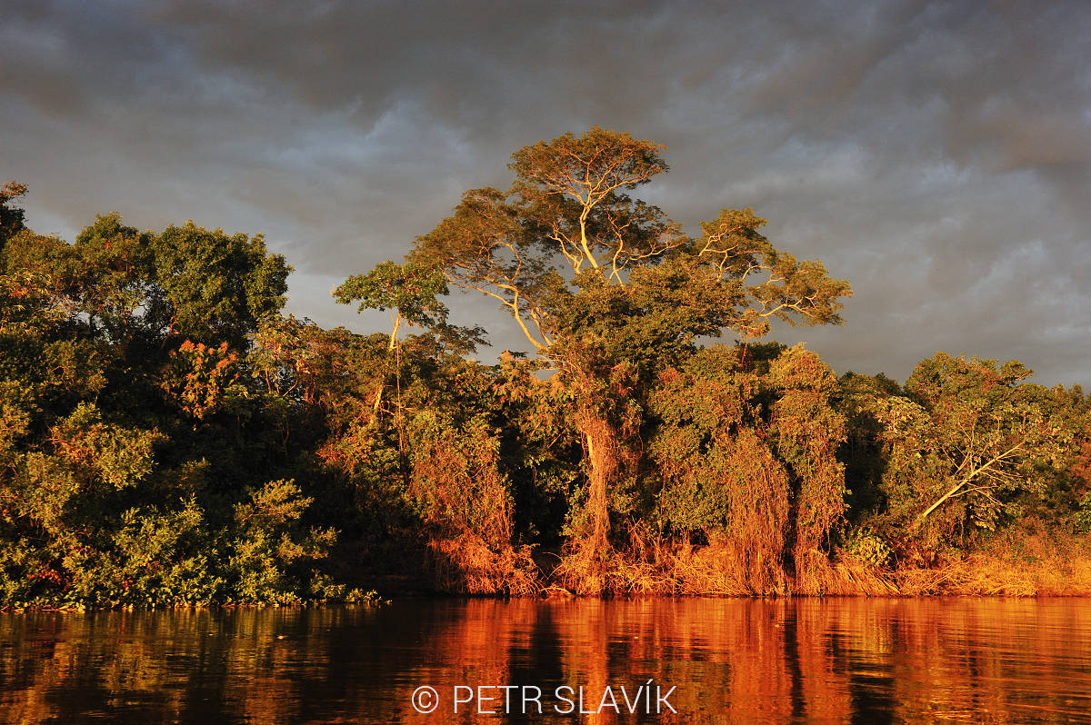 Pantanal,Brazílie